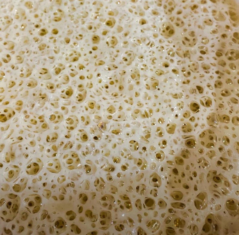 May include: Close-up of a light brown, foamy surface with a textured, bubbly pattern.