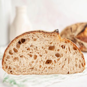 200+ yr Old San Francisco Sourdough Starter: Organic, Live, Dehydrated image 8