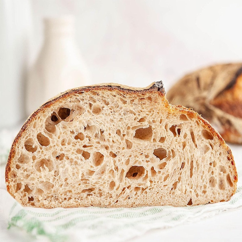 200+ yr Old San Francisco Sourdough Starter: Organic, Live, Dehydrated image 8