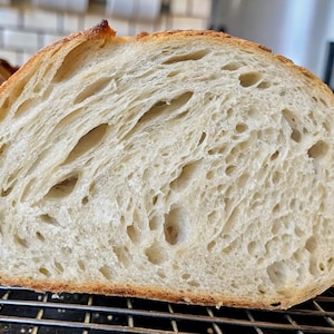 200+ yr Old San Francisco Sourdough Starter: Organic, Live, Dehydrated image 2