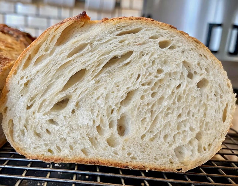 200+ yr Old San Francisco Sourdough Starter: Organic, Live, Dehydrated image 2