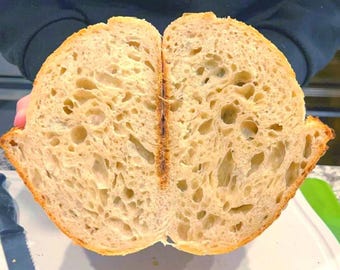 Kit de inicio de masa madre orgánica de San Francisco, cultivo tradicional