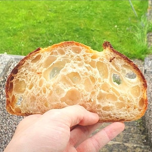 200+ yr Old San Francisco Sourdough Starter: Organic, Live, Dehydrated