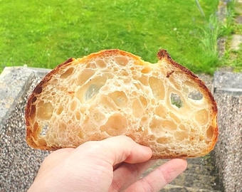 Organic Sourdough Starter