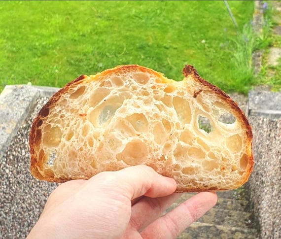 200+ yr Old San Francisco Sourdough Starter: Organic, Live, Dehydrated