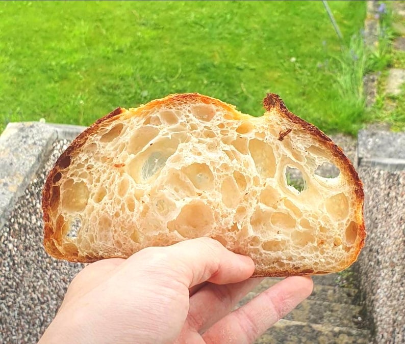 200+ yr Old San Francisco Sourdough Starter: Organic, Live, Dehydrated image 1