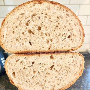 200+ yr Old San Francisco Sourdough Starter: Organic, Live, Dehydrated image 7