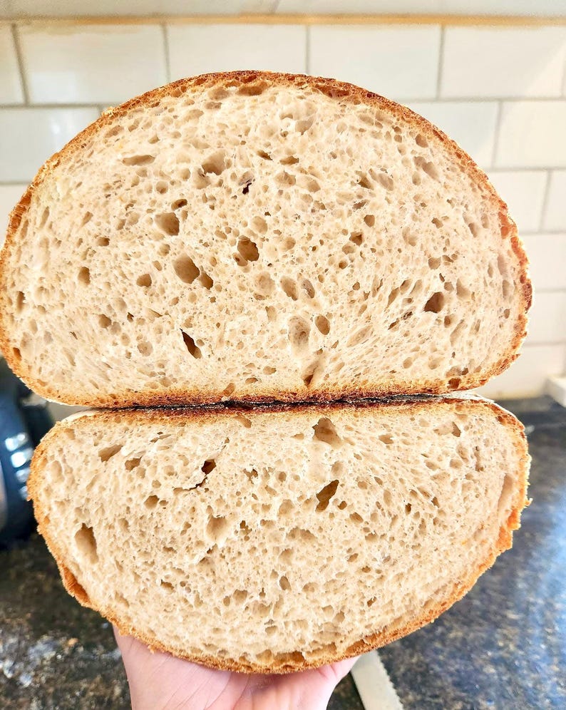 200+ yr Old San Francisco Sourdough Starter: Organic, Live, Dehydrated image 7