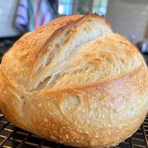Alaskan Sourdough Starter | Live Wild Yeast Culture from Alaska | Heirloom Frontier Strain