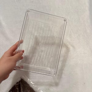 Coco fiber + substrate container zdjęcie 3