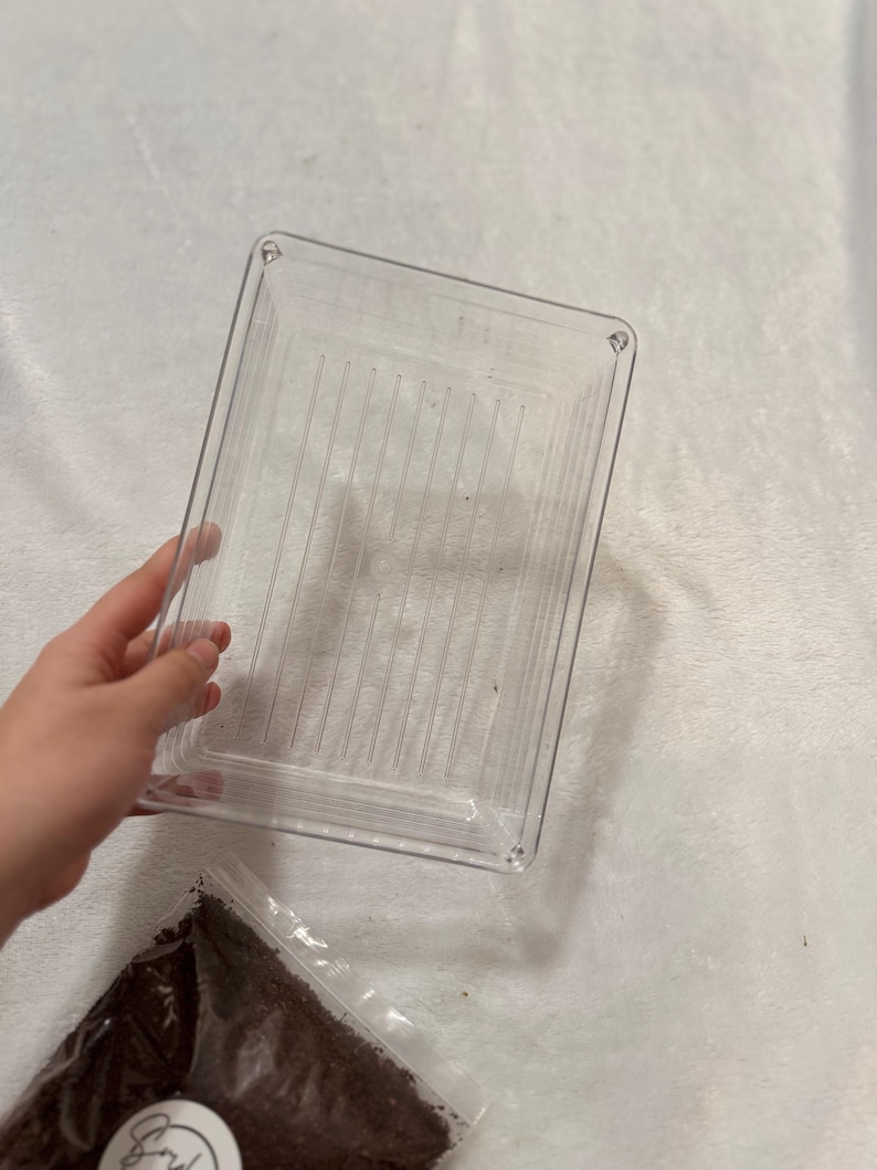 Coco fiber + substrate container zdjęcie 3