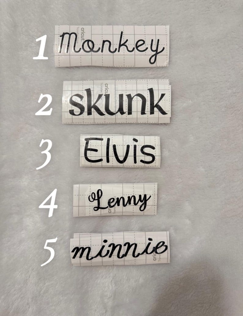 May include: Five white labels with black text. The labels are numbered 1 through 5. The text on the labels reads: 1. monkey, 2. skunk, 3. Elvis, 4. Lenny, 5. minnie.