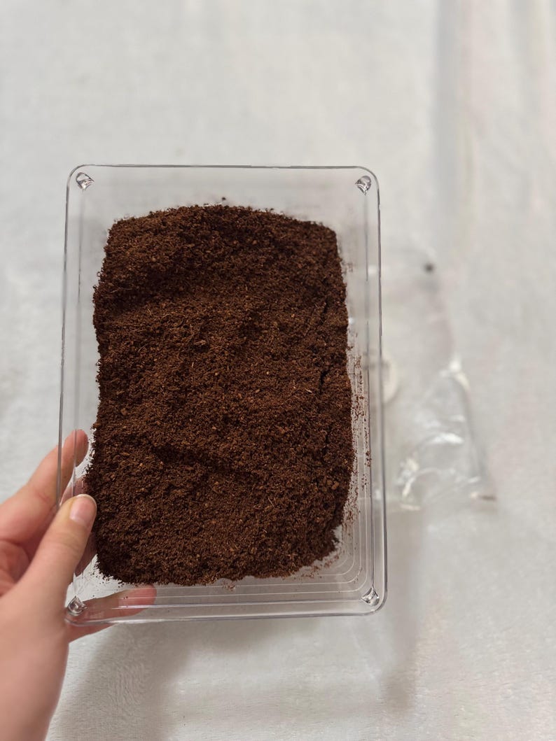 Coco fiber + substrate container zdjęcie 6