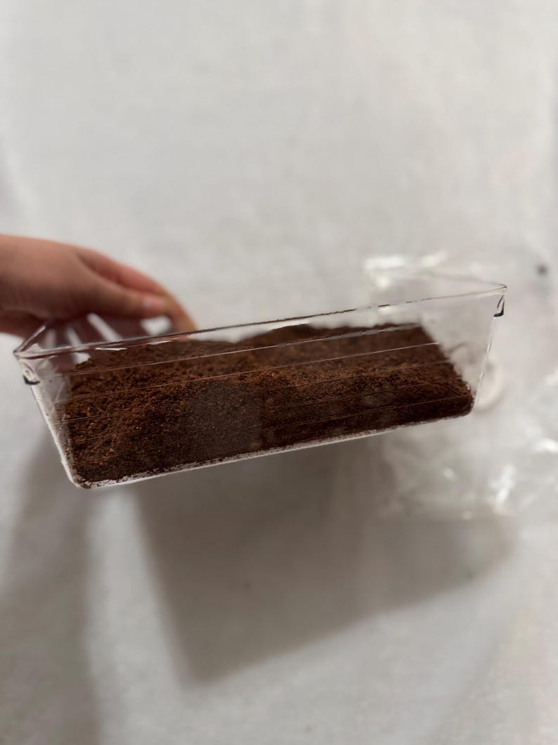 Coco fiber + substrate container zdjęcie 5