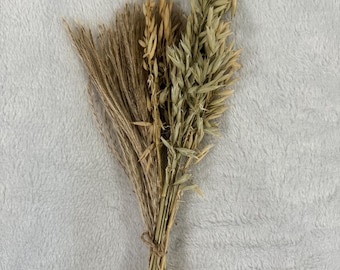 Oat & reed spray bundle