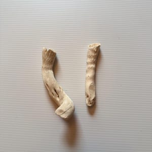 Gobi tail 2 pack