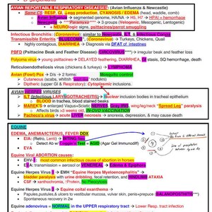 May include: A white board with handwritten notes about avian and equine viruses. The notes include information about symptoms, causes, and treatments. The notes are organized by species and disease.
