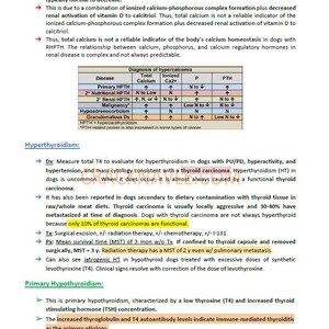 Puede incluir: Un gráfico médico que describe el diagnóstico de hipercalcemia en perros. El gráfico enumera varias afecciones y sus niveles asociados de calcio total, calcio ionizado, fósforo y hormona paratiroidea (PTH).