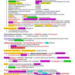 NAVLE Mastery Bundle Comprehensive Vet School Notes and NAVLE Prep ...