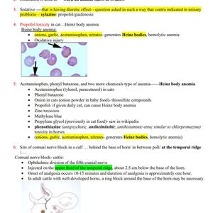 Puede incluir: Un diagrama que explica las causas de la anemia por cuerpos de Heinz en animales, incluyendo el uso de acetaminofén, cebollas, ajo y nitratos. El diagrama también incluye una imagen microscópica de glóbulos rojos con cuerpos de Heinz.