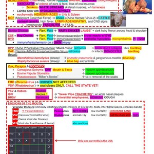 May include: A chart with a red border outlining the different types of diseases that affect ruminants, horses, and swine. The chart includes the names of the diseases, the causative agents, and the symptoms. The chart also includes information about the treatment and prevention of these diseases.