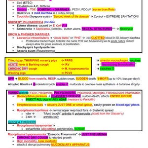 May include: A chart with a pink heading "PIGS" and a list of pig diseases and their symptoms. The chart is divided into sections for neonatal pig diarrhea, nursery pig diarrhea, grow and finisher diarrhea, and young piglets. The chart also includes information on the causes of each disease and how to treat them.