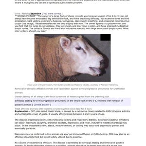 Puede incluir: Primer plano de una oveja blanca con la nariz y la boca gris azulada. La oveja está demacrada y tiene una ubre dura. La imagen es de un libro de texto veterinario sobre la neumonía progresiva ovina.