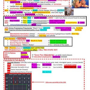 NAVLE Mastery Bundle Comprehensive Vet School Notes and NAVLE Prep ...