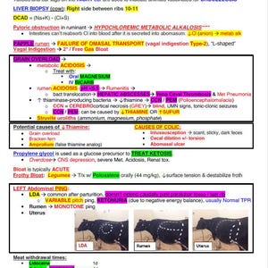 May include: A diagram outlining the causes and symptoms of metabolic alkalosis in ruminants. The diagram includes information about the different blood groups of cattle, sheep, and goats, as well as the use of ear tags to indicate vaccination for brucellosis. The diagram also includes information about the causes of colic in ruminants, including intussusception, cecal dilation, and abomasal ulcer.
