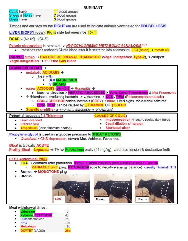 May include: A diagram outlining the causes and symptoms of metabolic alkalosis in ruminants. The diagram includes information about the different blood groups of cattle, sheep, and goats, as well as the use of ear tags to indicate vaccination for brucellosis. The diagram also includes information about the causes of colic in ruminants, including intussusception, cecal dilation, and abomasal ulcer.