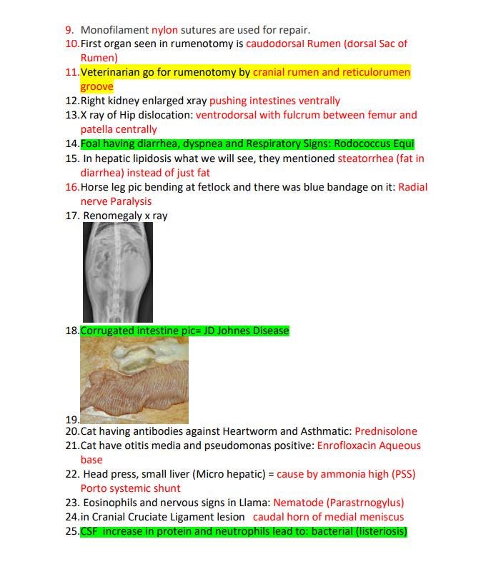 BCSE Exam Prep 2023-2025 | 196+ Practice Questions PDF | BCSE Study ...