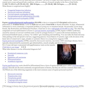 Puede incluir: Primer plano del hocico de un caballo, extraído de un documento veterinario. El texto trata sobre enfermedades equinas, incluyendo afecciones neurológicas y tumores cutáneos. Texto visible.