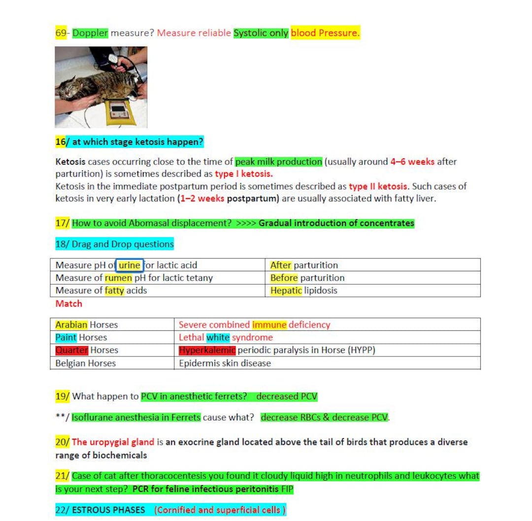 BCSE Past Exams Notes 270 Pages - Etsy Canada