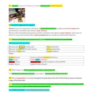 Puede incluir: Una página de notas escritas a mano en una hoja de papel blanca con un bolígrafo negro. Las notas son sobre cetosis, desplazamiento abomasal y otros temas veterinarios. Las notas incluyen una tabla con los títulos "Caballos árabes", "Caballos pintados", "Caballos de cuarto", "Caballos belgas", "Deficiencia inmunitaria combinada grave", "Síndrome del blanco letal", "Parálisis periódica hipercalémica en caballos (HYPP)" y "Enfermedad de la piel de la epidermis".