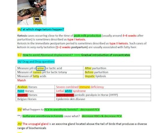 BCSE Past Exams Notes 270 Pages