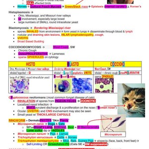 May include: A chart with a diagram of different types of fungal infections in animals. The chart includes information about the type of fungus, the symptoms, the location, and the treatment. The chart also includes images of the fungi under a microscope.