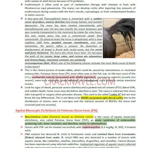 Puede incluir: Un primer plano de una página de un libro de texto veterinario que trata sobre la Fiebre del Caballo de Potomac (PH) y sus causas, síntomas y tratamiento. El texto incluye información sobre la prevalencia de la enfermedad, su transmisión y el uso de oxitetraciclina para el tratamiento.