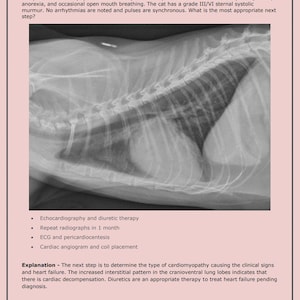 Puede incluir: Imagen de rayos X en blanco y negro del pecho de un gato. La imagen muestra los pulmones, el corazón y las costillas del gato. La imagen se utiliza para diagnosticar condiciones médicas en gatos.