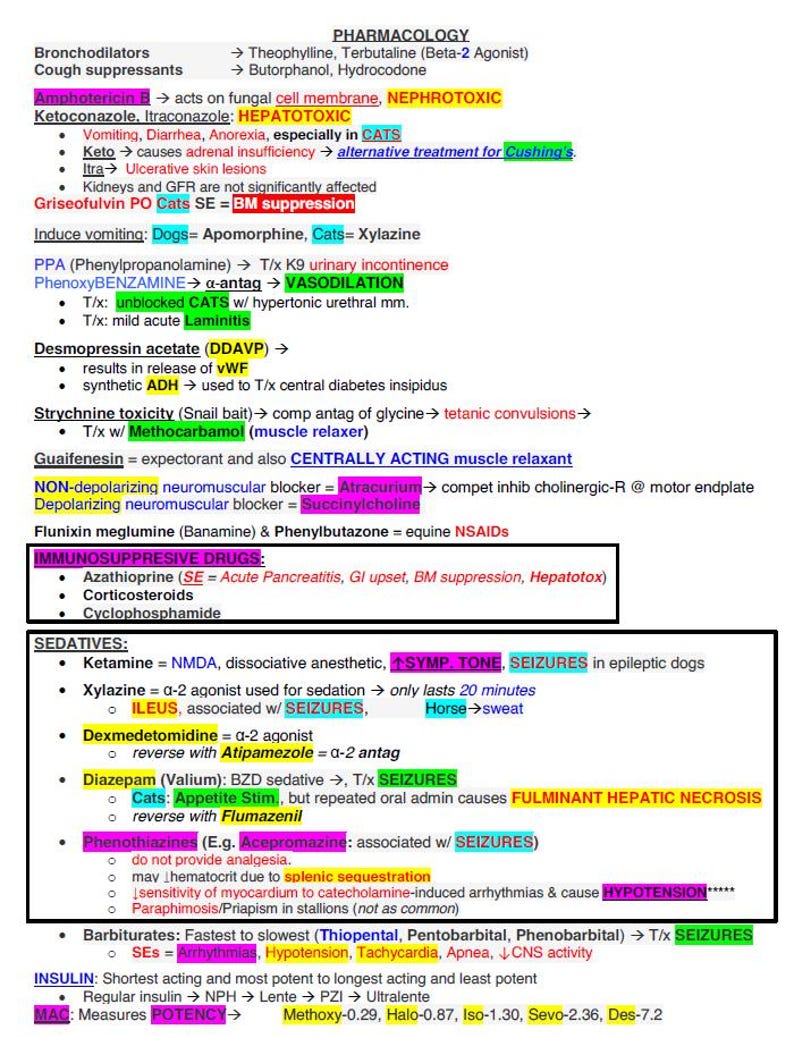 Comprehensive NAVLE Study Guide 2026 image 3