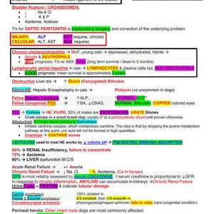 May include: A medical chart with a diagram of the human body, outlining the causes and symptoms of various medical conditions. The chart includes information on the urinary system, liver, kidneys, and other organs. The chart also includes information on the causes and symptoms of various medical conditions, such as urinary tract infections, liver disease, and kidney failure.