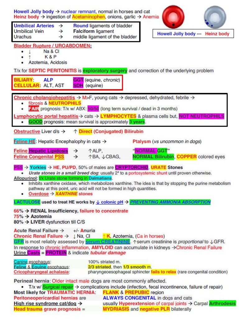May include: A medical chart with a diagram of the human body, outlining the causes and symptoms of various medical conditions. The chart includes information on the urinary system, liver, kidneys, and other organs. The chart also includes information on the causes and symptoms of various medical conditions, such as urinary tract infections, liver disease, and kidney failure.