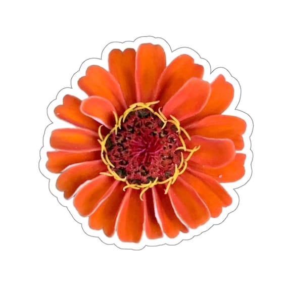 Orange Zinnia Flower Sticker: Waterproof Vinyl Decal