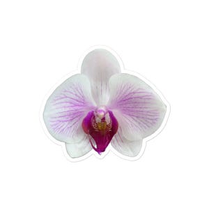 Orchid Flower Sticker, Purple White Floral Decal, Botanical Laptop Decal, Nature Lover Gift, Water Bottle Decor, Journal Scrapbooking