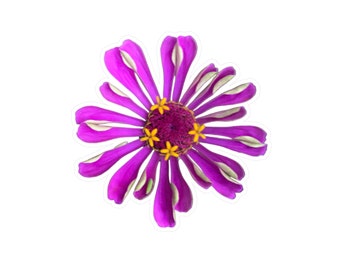 Purple Zinnia Flower Decal - Funky Flower Decal - Purple Flower Decal - Zinnia Flower Decal