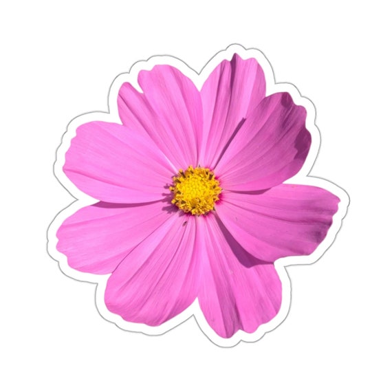 Pretty Pink Cosmo Flower Sticker