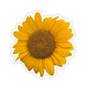 Adesivo grande girasole