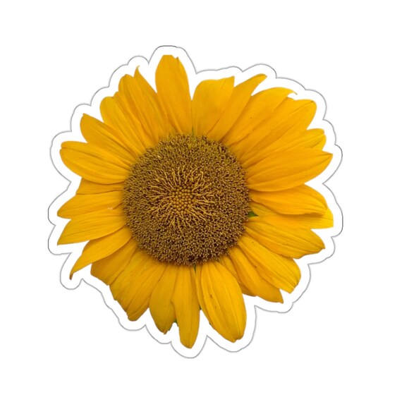 Big Sunflower Sticker
