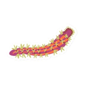 Caterpillar Sticker