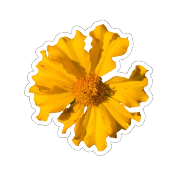 Pretty Yellow Marigold Flower Sticker
