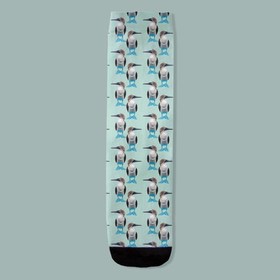 Blue Footed Booby Bird Socks
